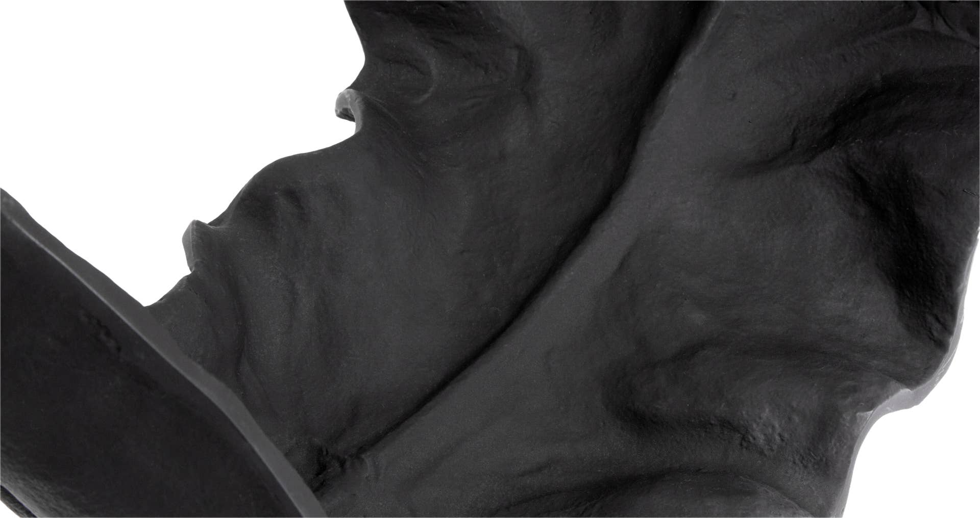 1106680_PNG-Web 72dpi.png? 1106680_PNG-Web 72dpi.png?